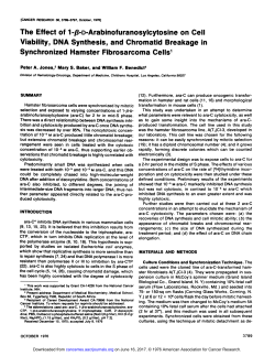 The Effect of 1-@-D.Arabinofuranosylcytosineon