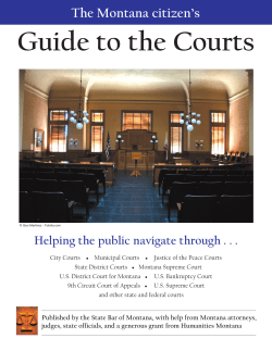 Montana court system