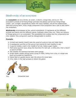 Biodiversity of an ecosystem