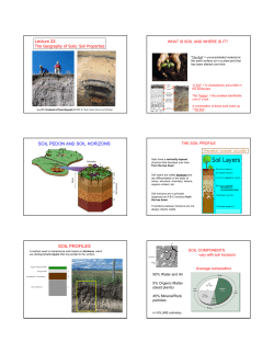 Lecture 22: SOIL PEDON AND SOIL HORIZONS