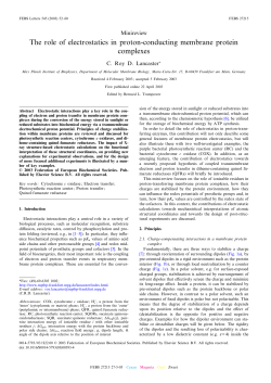 The role of electrostatics in proton