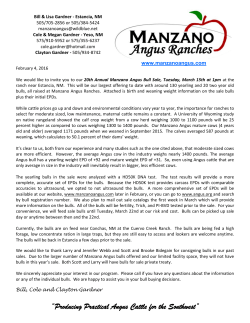 Bull Sale Letter