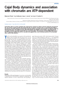 Cajal Body dynamics and association with chromatin are ATP