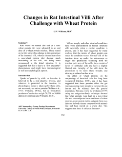 Changes in Rat Intestinal Villi After Challenge with Wheat Protein