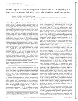 Alcohol impairs skeletal muscle protein synthesis and mTOR