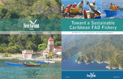 Toward a Sustainable Caribbean FAD Fishery