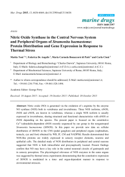 Nitric Oxide Synthase in the Central Nervous System and Peripheral