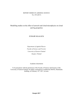 Modelling studies on the effect of aerosols and cloud microphysics