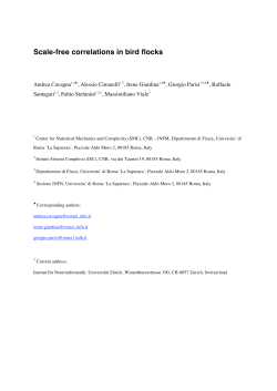 Scale-free correlations in bird flocks