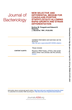 differentiation rapid growth and strain staphylococci