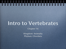 Chapter 16 Kingdom: Animalia Phylum: Chordata