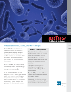 Anti-Bacteria Flyer SC.indd
