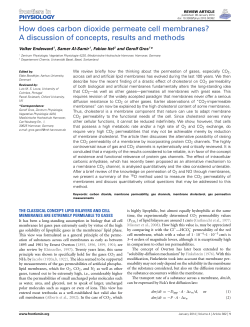 How does carbon dioxide permeate cell membranes? A