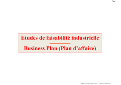 Etudes de faisabilit&eacute; industrielle Business Plan