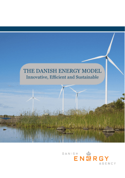 the danish energy model