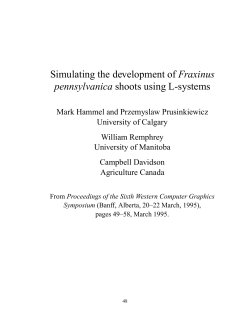 Simulating the development of Fraxinus pennsylvanica shoots using