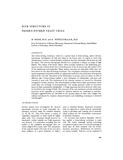 fine structure in frozen-etched yeast cells
