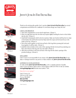 Jenny`s Junk-In-The-Trunk Bag