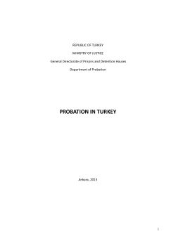 probation in turkey