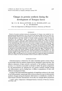 Changes in protein synthesis during the development of Xenopus