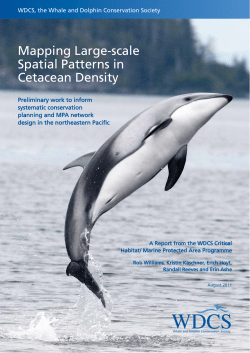 Mapping Large-scale Spatial Patterns in