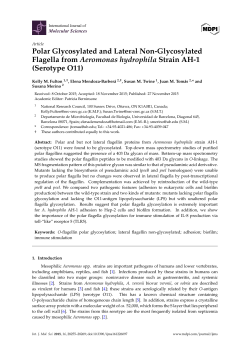 Polar Glycosylated and Lateral Non