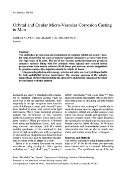 Orbital and Ocular Micro-Vascular Corrosion Casting in Man