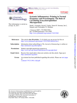 Microparticles Circulating Syncytiotrophoblast Pregnancy and