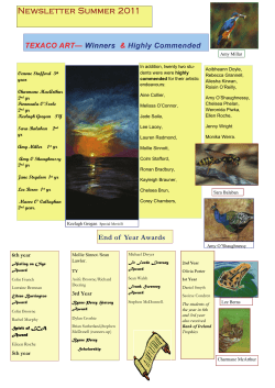 Summer Newsletter 2011 - Gorey Community School
