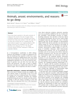 Animals, anoxic environments, and reasons to go deep
