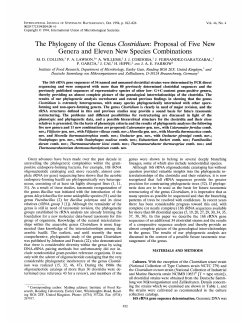 The Phylogeny of the Genus Clostridium