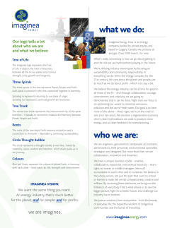 Imaginea Corporate Overview