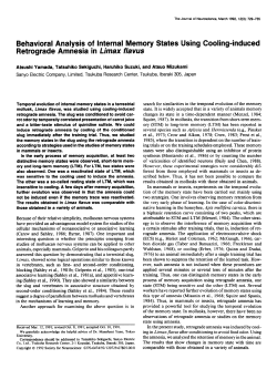 Behavioral Analysis of Internal Memory States Using Cooling