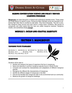 Section 3: mangroves - University of Miami Shark Research
