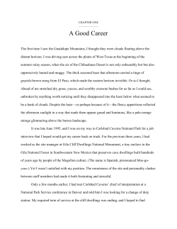 read a brief excerpt