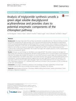 Analysis of triglyceride synthesis unveils a green algal soluble