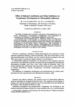 Effect of Selected Antibiotics and Other Inhibitors on