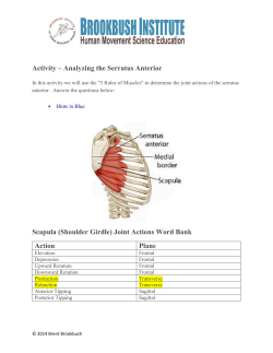 Activity &ndash; Analyzing the Serratus Anterior Scapula (Shoulder Girdle