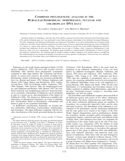 COMBINED PHYLOGENETIC ANALYSIS IN THE RUBIACEAE