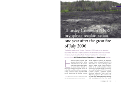 Thursley Common NNR - Royal Botanic Garden Edinburgh