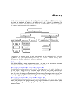 Glossary