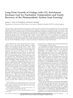 Long-Term Growth of Ginkgo with CO2