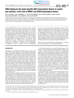 DNA binding by the plant-specific NAC transcription factors in crystal