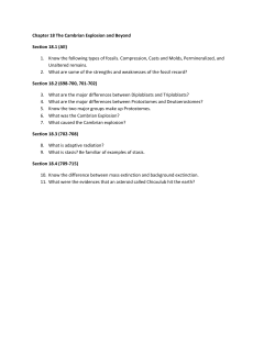 Chapter 18 The Cambrian Explosion and Beyond Section 18.1 (All