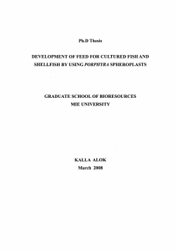 Page 1 Ph.D. Thesis DEVELOPMENT OF FEED FOR