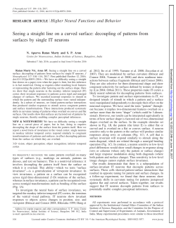 Seeing a straight line on a curved surface: decoupling of patterns
