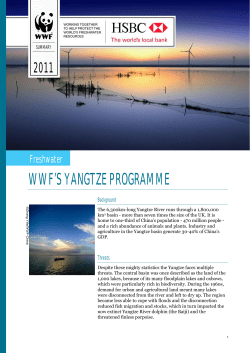 WWF`S YANGTZE PROGRAMME