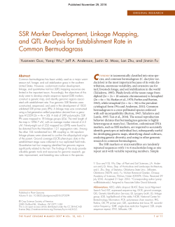 SSR Marker Development, Linkage Mapping, and QTL Analysis for