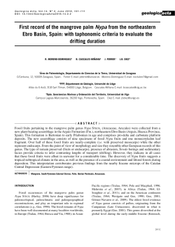 First record of the mangrove palm Nypa from the northeastern Ebro