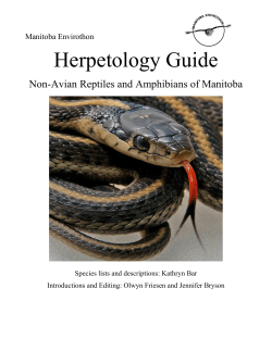 Herpetology Guide (Updated